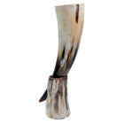 Drinking Horn