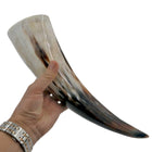 Drinking Horn